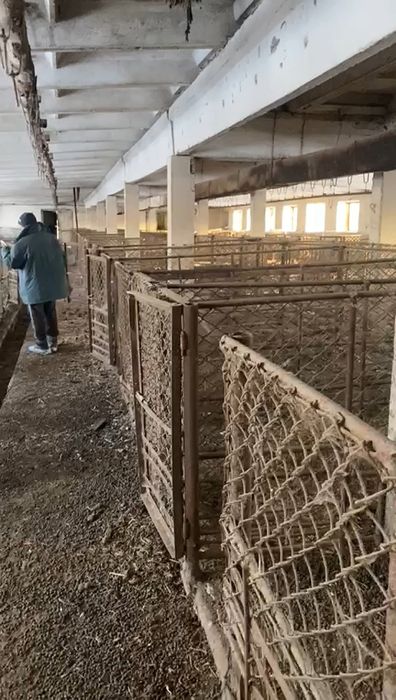 Деловой металл б/у Продам металлические клетки.