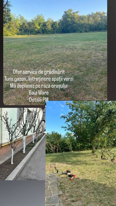 Gazon, curte, gradina, copaci