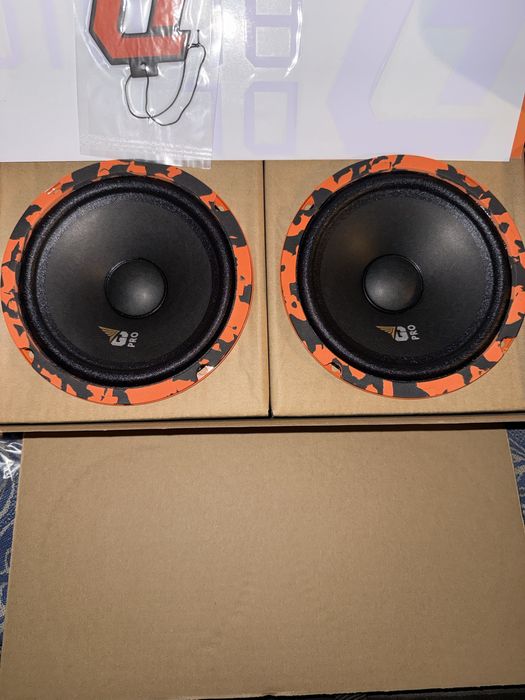 DL Audio 165 midbass