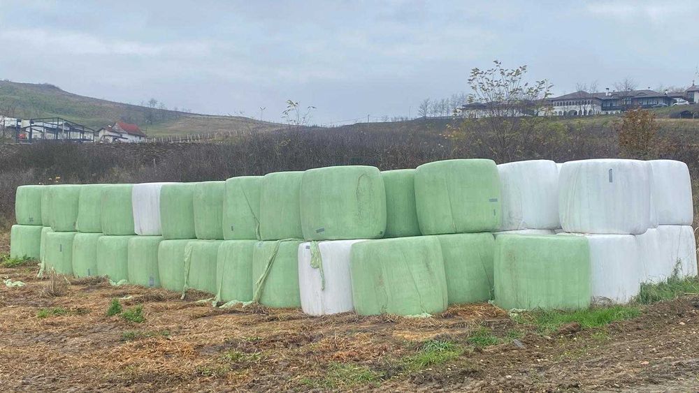 Baloți de lucernă înfoliați