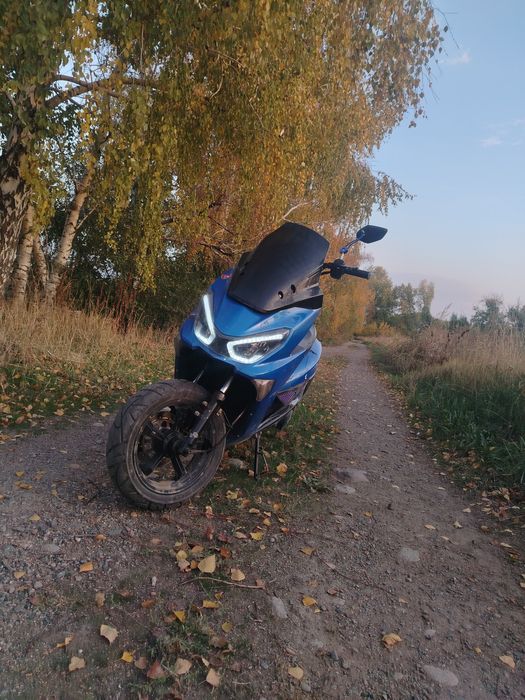 Макси 165cc 2023
