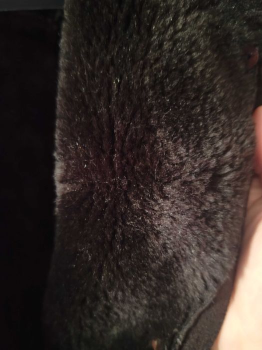 Haină palton de damă