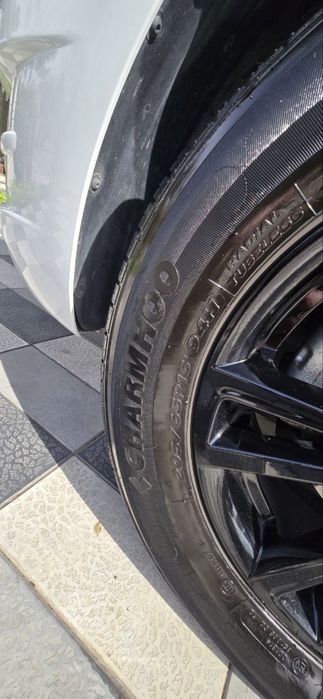 Cobalt midnight srochna