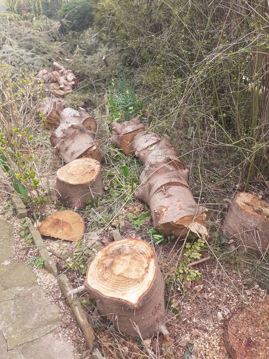 Дърва  за горене