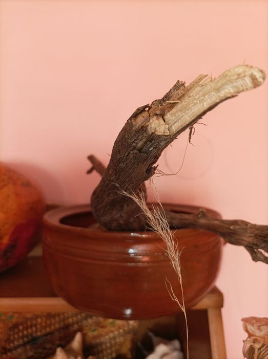 Антични глинени съдове