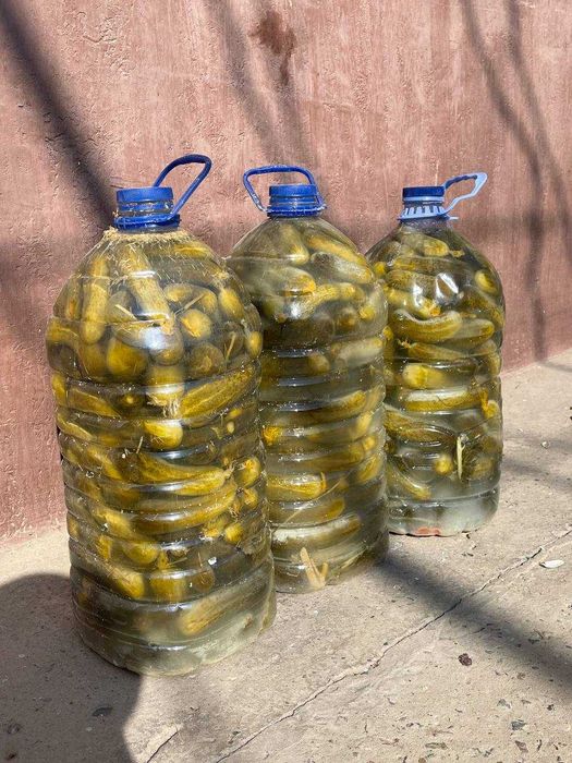 Огурцы соленые .