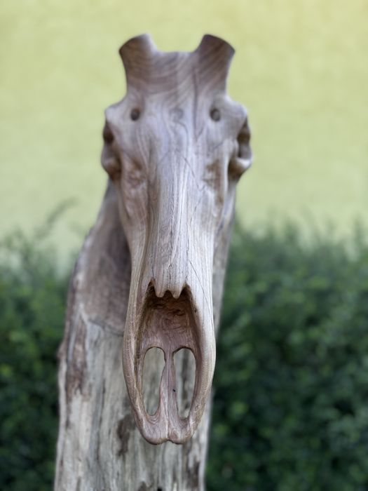 Дървен череп на благороден елен,дърворезба,трофей,лов,Blaser,Chevalier