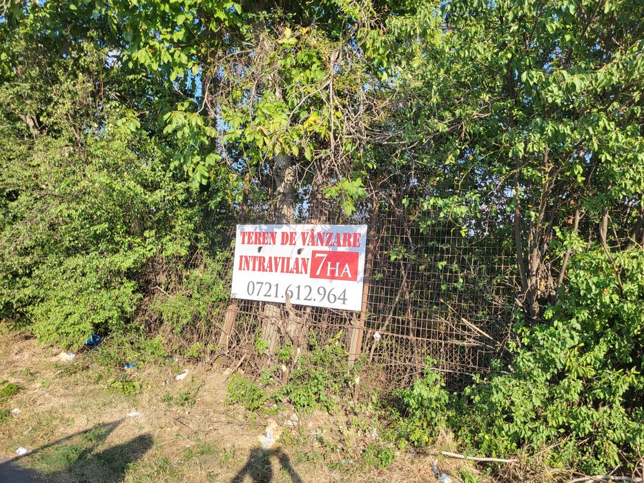 Teren intravilan Gradiste  AradArad