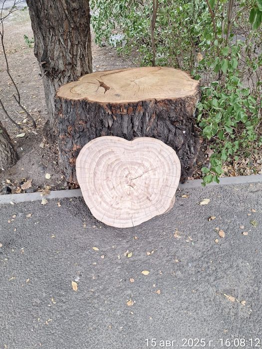 Продам  столешницы и слебы карагача