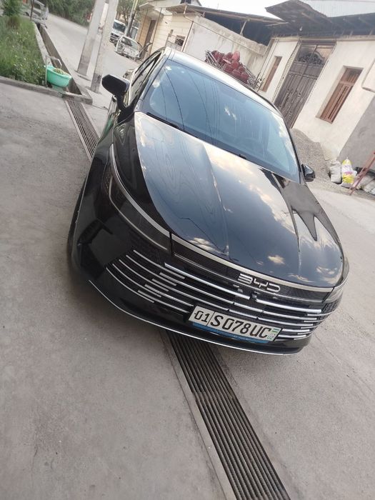 BYD CHAZOR     2024