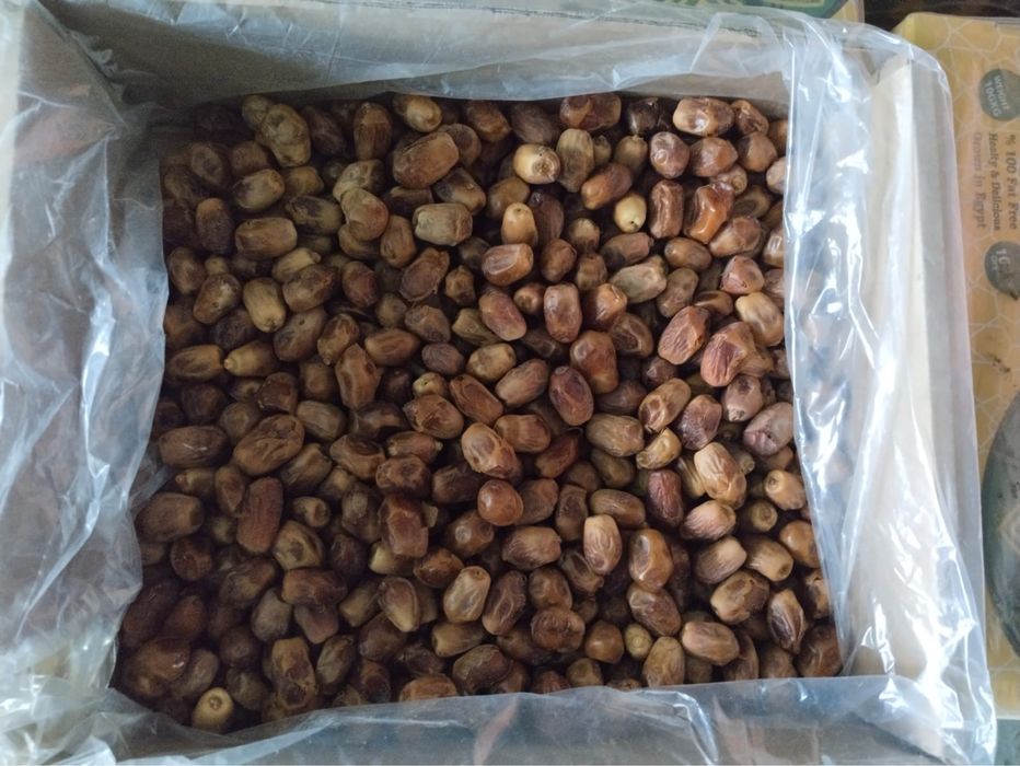 Құрмалар бар көп мөлшерде балғын достовка бар