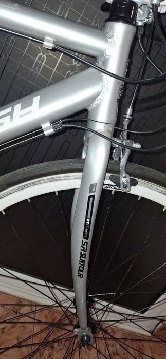 Cursieră Raleigh