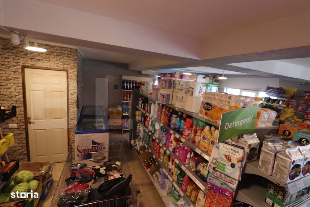 Spatiu comercial + teren, 163 mp utili, 983 mp, Matasaru/Poroinica