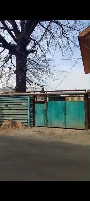 Продам дерево дуб