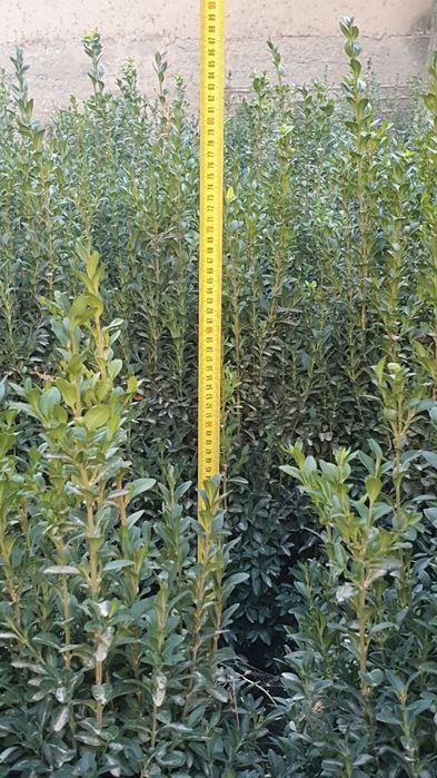 Faqat oladiganlar yozsin