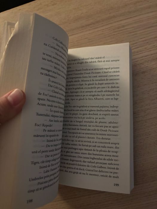 Pisicile războinice, vol. 2 – Foc și gheață, Erin Hunter