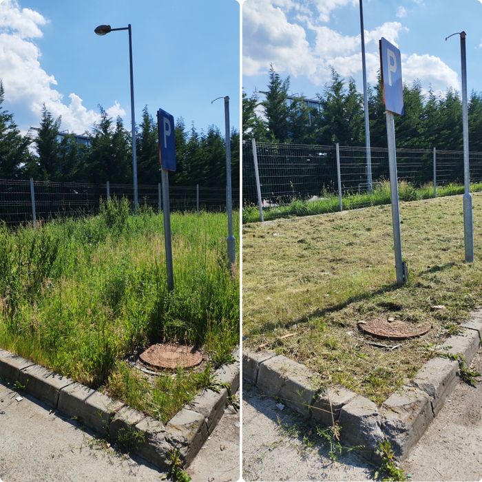 Curățare terenuri, cosire iarbă și buruieni – Brașov + împrejurimi