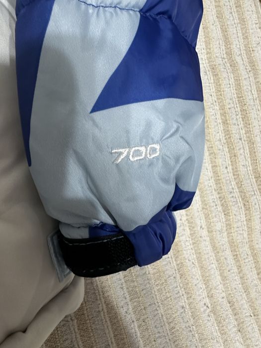 Geaca The North Face