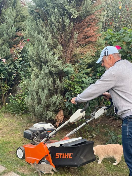 Servicii întreținere spații verzi, grădini, livezi, vii, legume