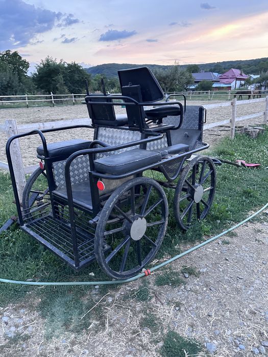 Trasura maraton pentru 1 sau 2 cai