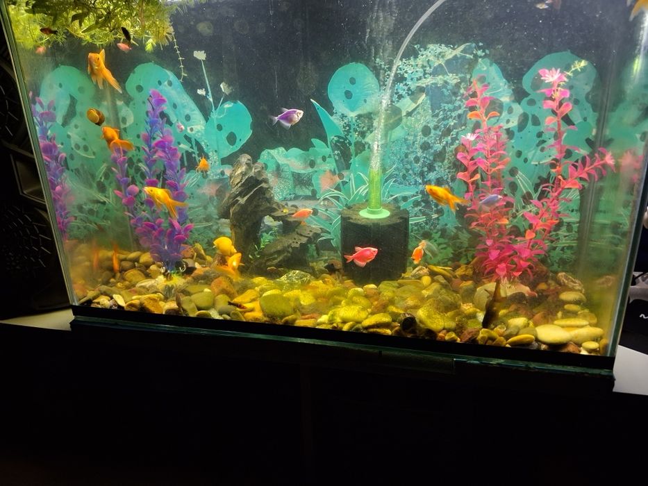Продам аквариум на 120л.красата.