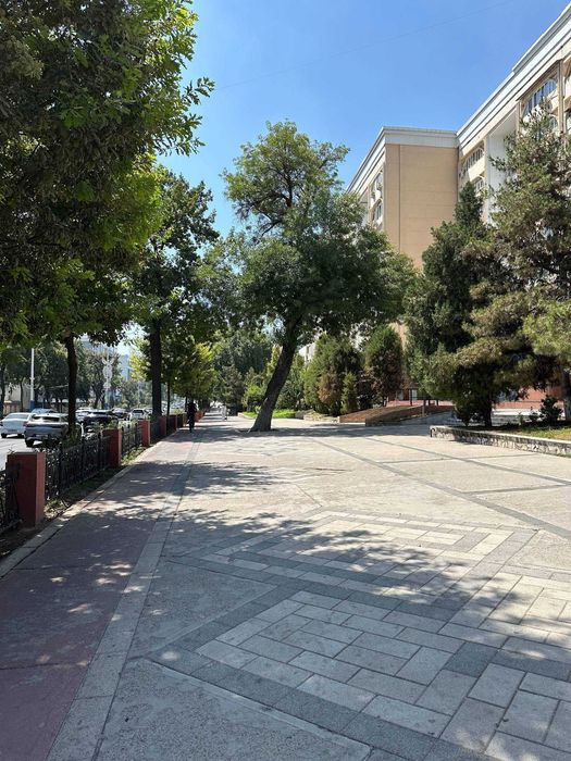 Сдам‼️ 178 м² Open Space на 1 линии, Дархан | м. Хамид Алимджана