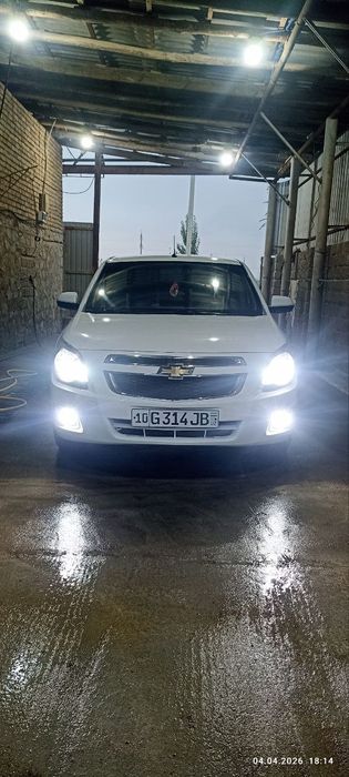 Cobalt sotiladi rangi oq