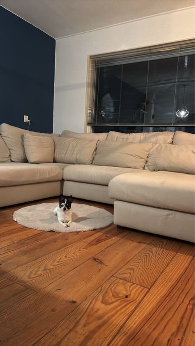 Диван бежов с опция за сън