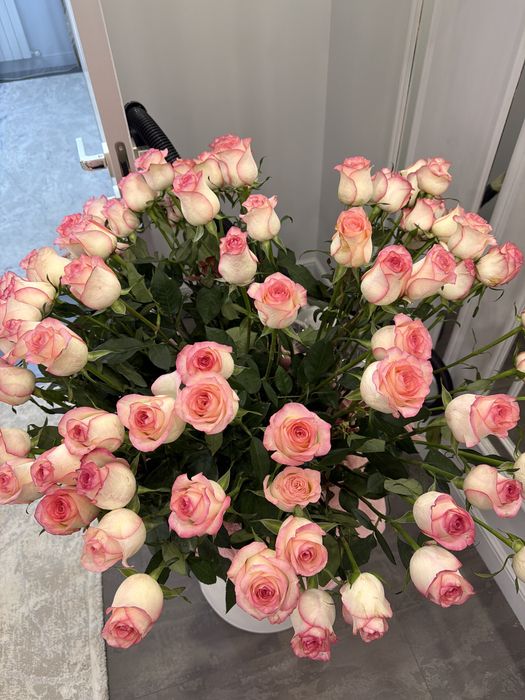 Цветы, 101 роза, розового цвета