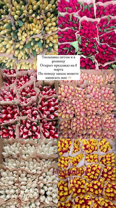 Тюльпаны оптом. Доставка по Казахстану