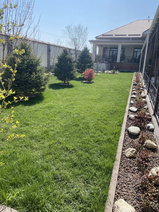 Газон и автопалив