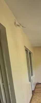 Своя квартира 1 комнатная на кора-камыше 2/3