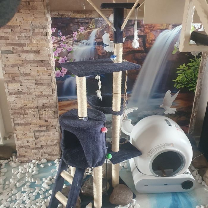 Котешка катерушка