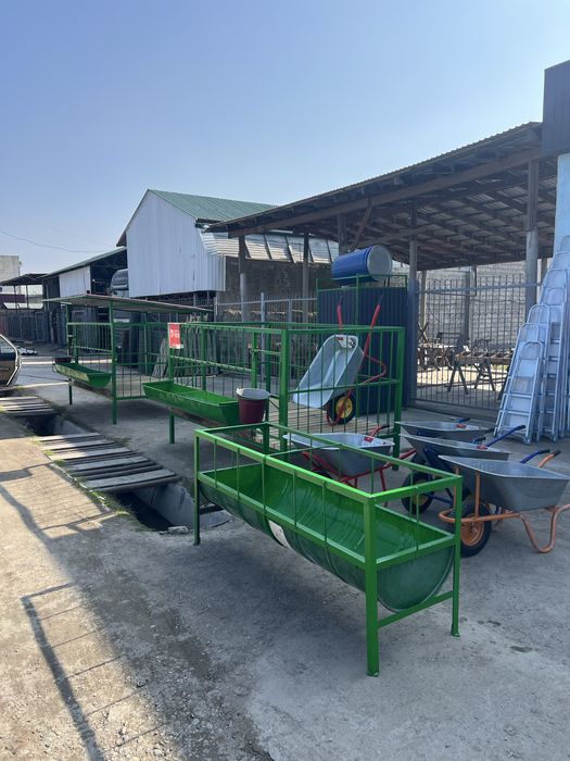 Койга арналган ахыр науа