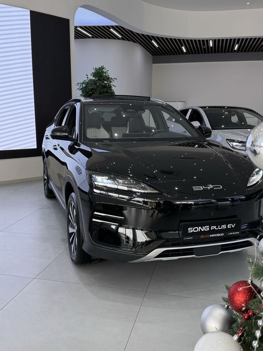 BYD CHAMPION EV/HEV hammasidan bor