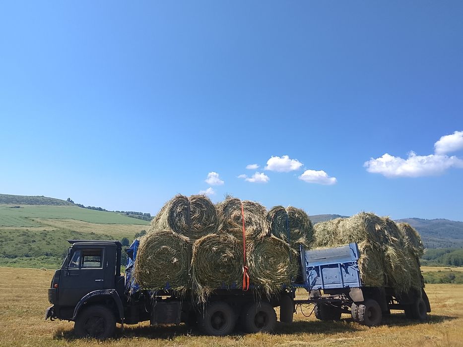 Продам сено в рулонах