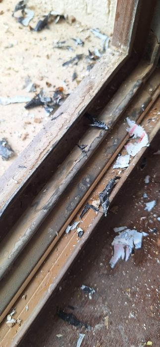 Уборка квартир и домов Дезинфекция