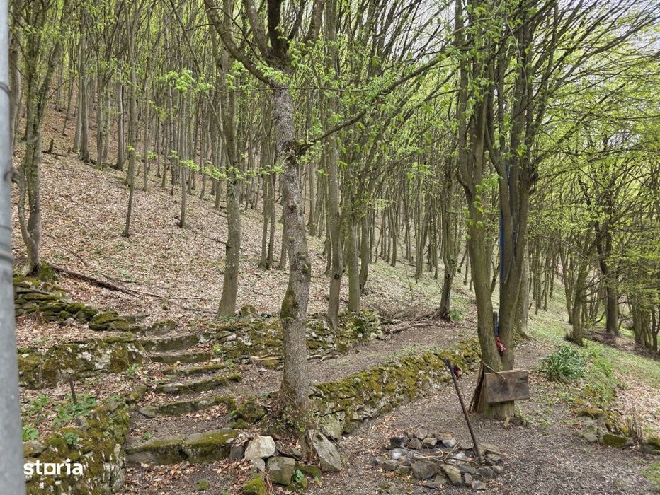 Cabana Iezer Ighiel – panorama superba, liniste si potential de inve