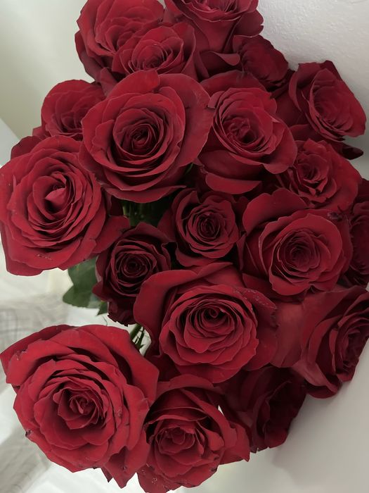 свежий букет 22штук