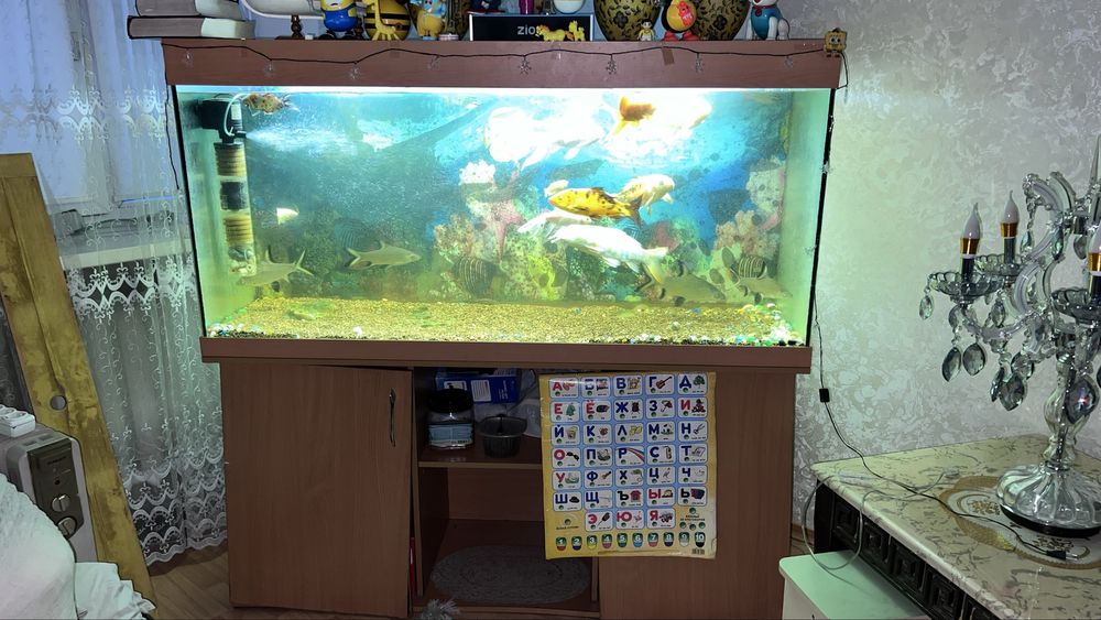 Продам огромный аквариум