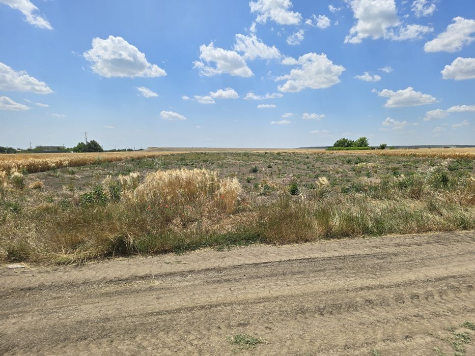 URGENT!! Teren 2.120 mp2 / 23,60 € mp2. PREȚ 50.000€