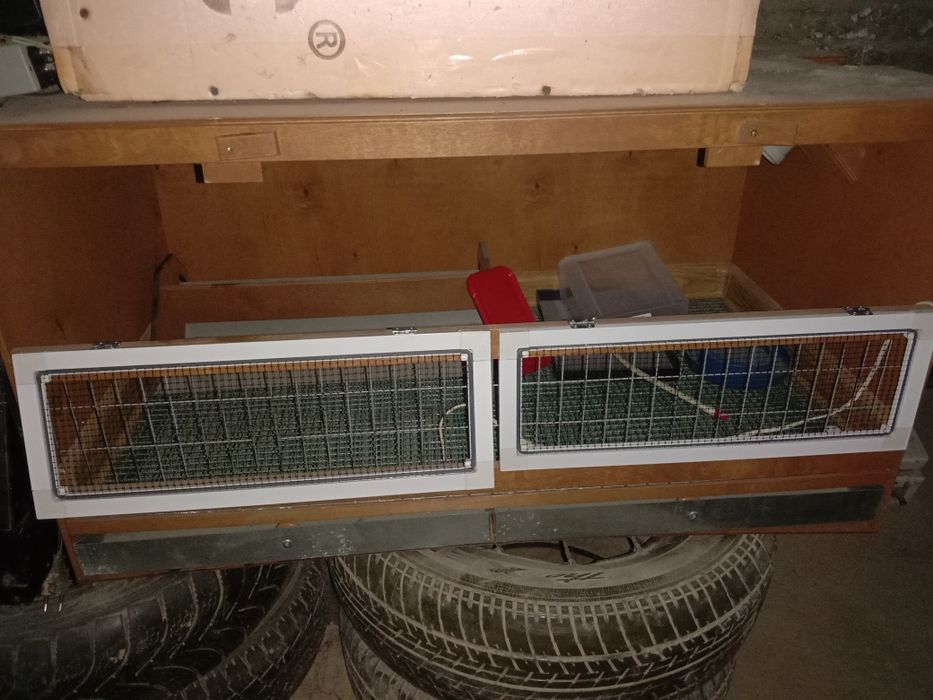 Брудер для цыплят