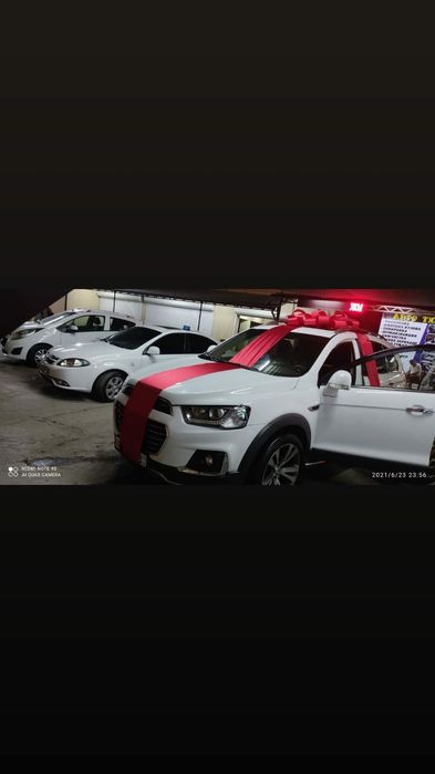 Мошинага арендага кизил бантик