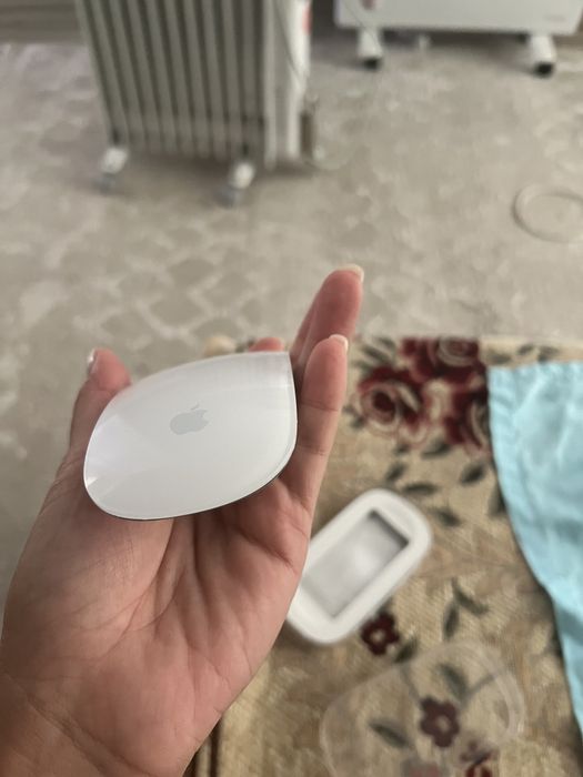 Мышка Apple