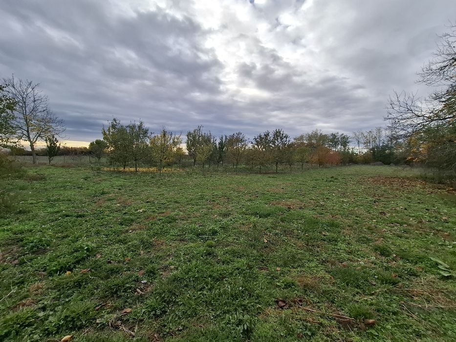 Teren intravilan 2878mp curent, apa, canalizare