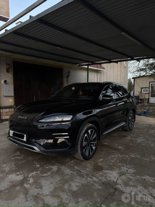 Byd champion 605km 2025/02 срочна