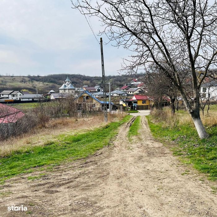 Teren intravilan 549 mp, 23 ml deschidere Miroslava - str. Balciu