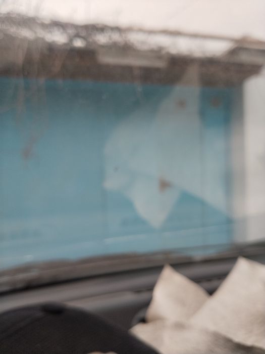 Продам. Дом. ( Старый) Земли 5,8. СПУТНИК. Дорого