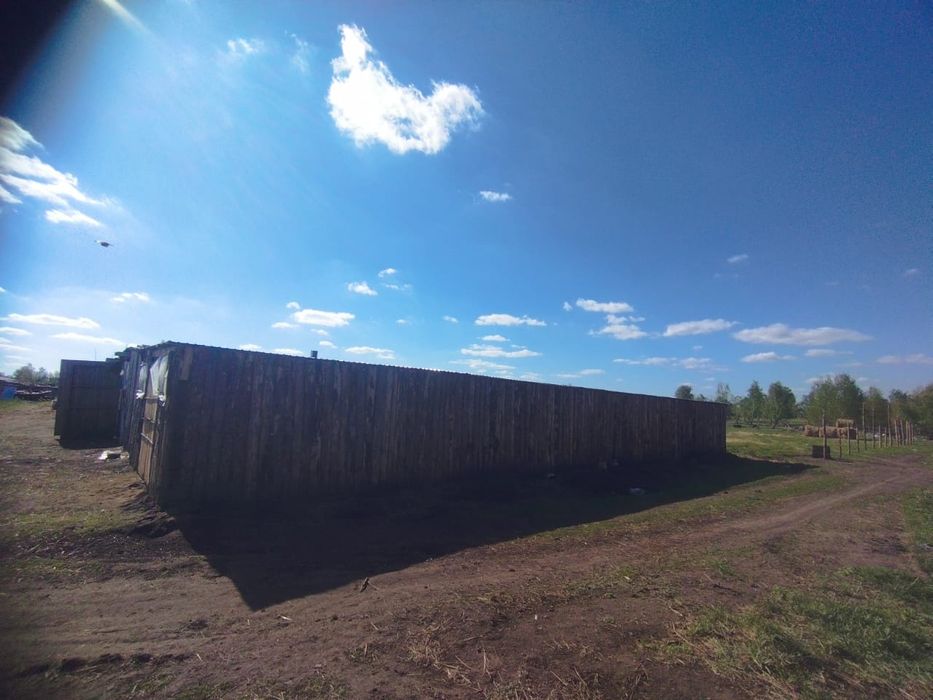 Продам дом с фермой басбеке