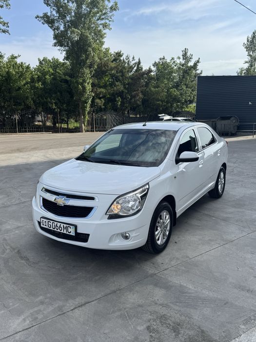 Cobalt 2022 Arenda